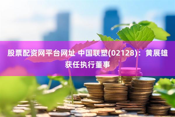 股票配资网平台网址 中国联塑(02128)：黄展雄获任执行董事